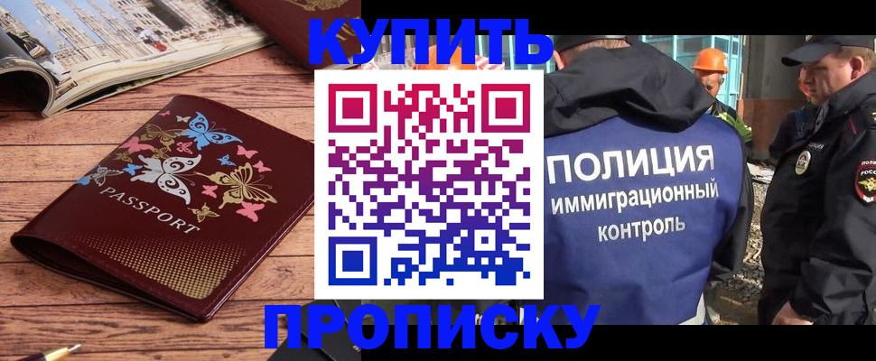 прописка 2025 в Мытищах